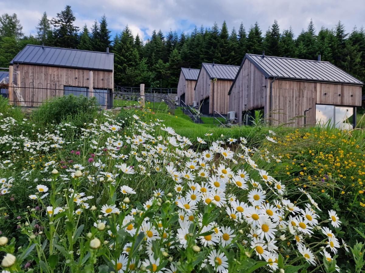 Domki Z Gorki Na Pazurki Falsztyn Exterior foto